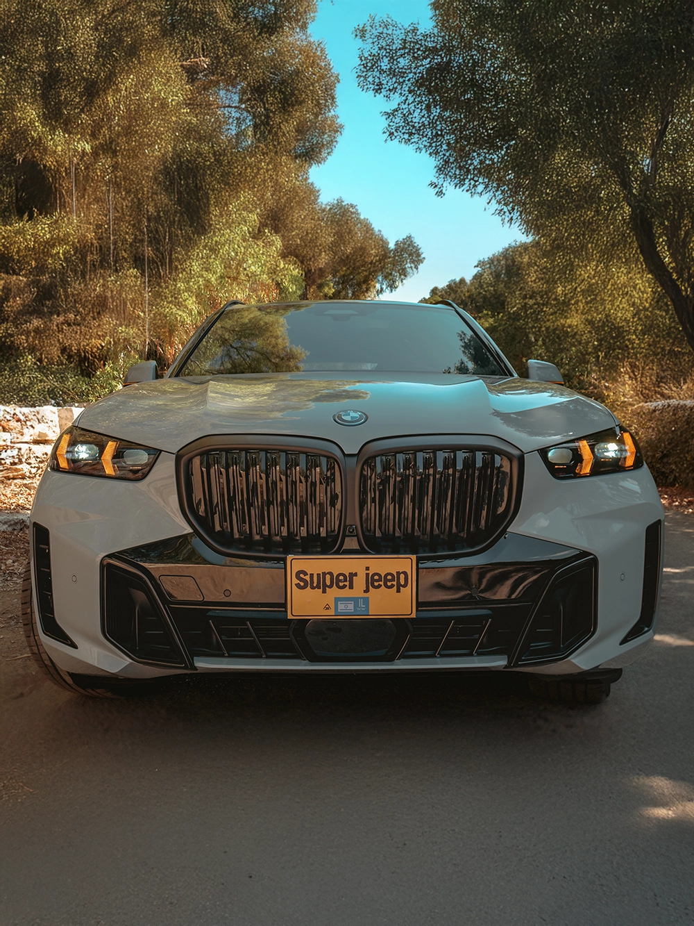 BMW X5 xDrive50e - מבט קדמי