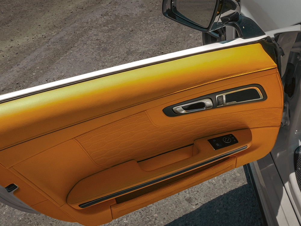 Mercedes-AMG GT Mansory - דלת